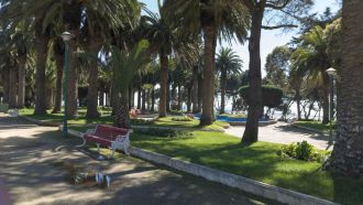 Parque Agustín Ross