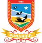 Escudo de Pumanque