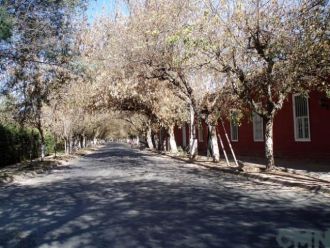 Imagen de Zúñiga